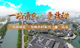 “一路清风·看盐都”系列廉洁微视频 第八站：走进佳富村